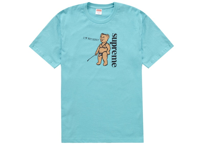 Supreme Not Sorry Tee Light Teal