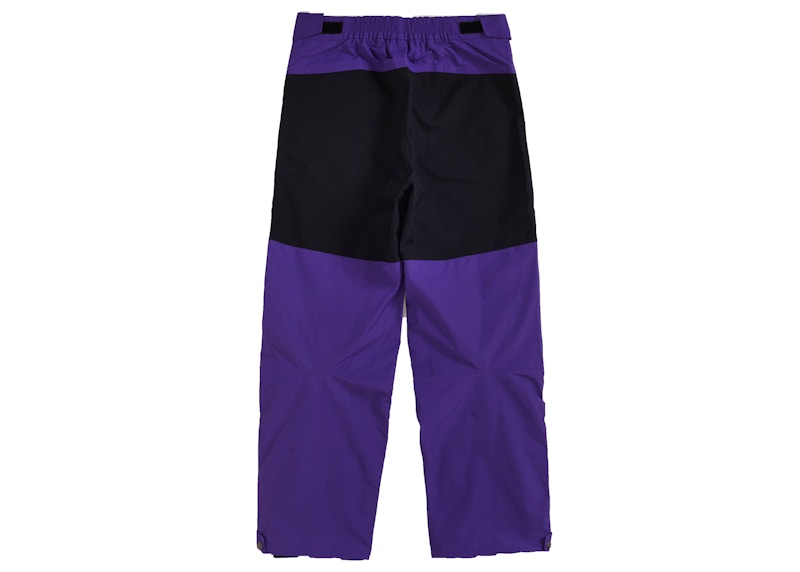 Supreme The North Face Arc Logo Mountain Pant Purple