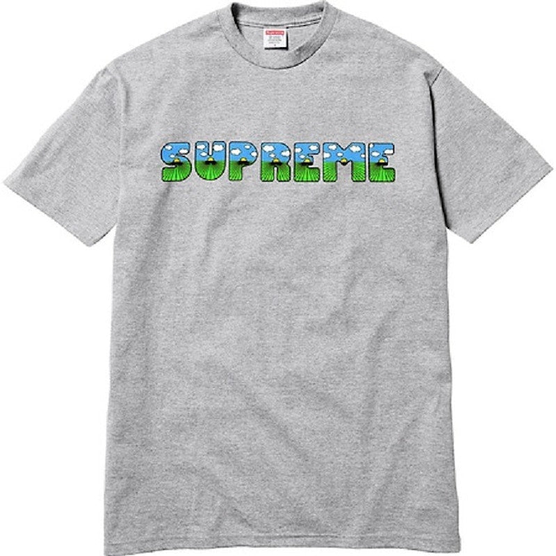 Supreme The Shit Tee Heather Grey