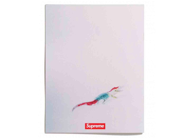 Supreme x Araki Zine Book