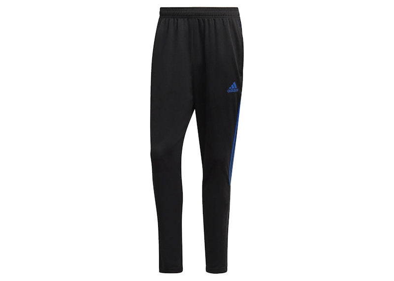 adidas Tiro 21 Track Pants Black/Royal Blue