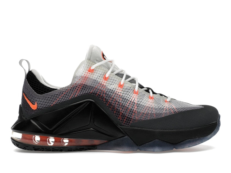 Nike Air Max 95 LeBron 12 Low