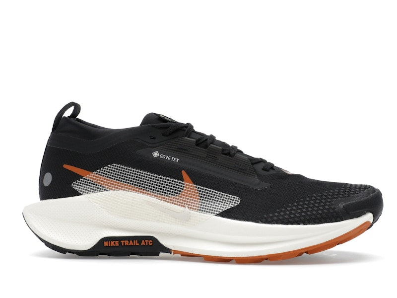 Nike Pegasus Trail 5 Gore-Tex Off Noir Black Monarch Pale Ivory
