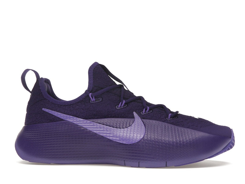 Nike LeBron TR 1 Purple Rain