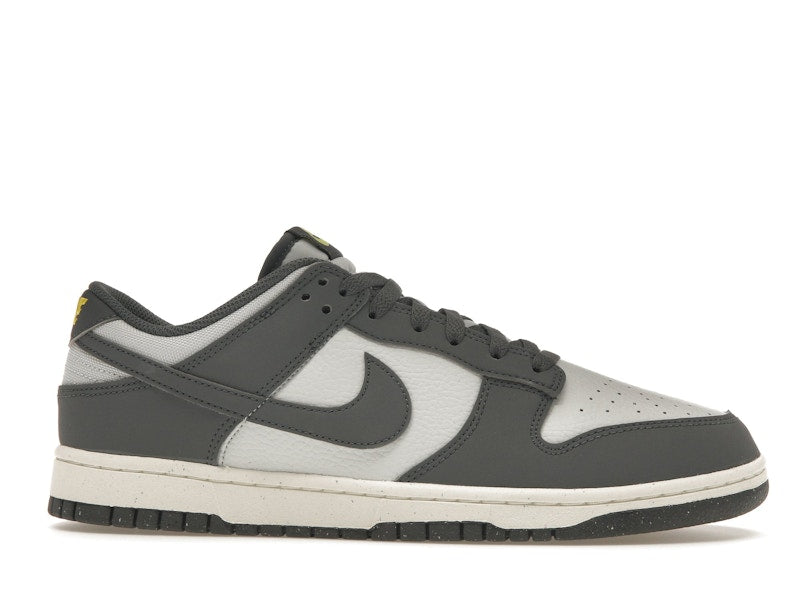 Nike Dunk Low Next Nature Iron Grey Lightning