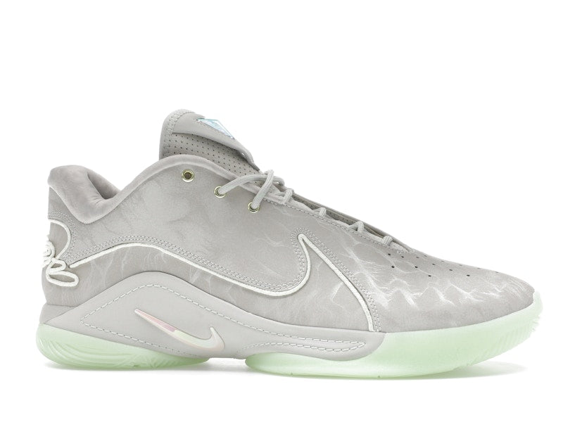 Nike LeBron 22 Dunkman (Translucent Outsole)