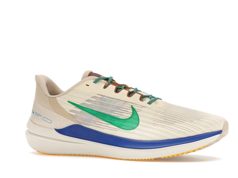 Nike Winflo 9 Premium Nike Moving Company