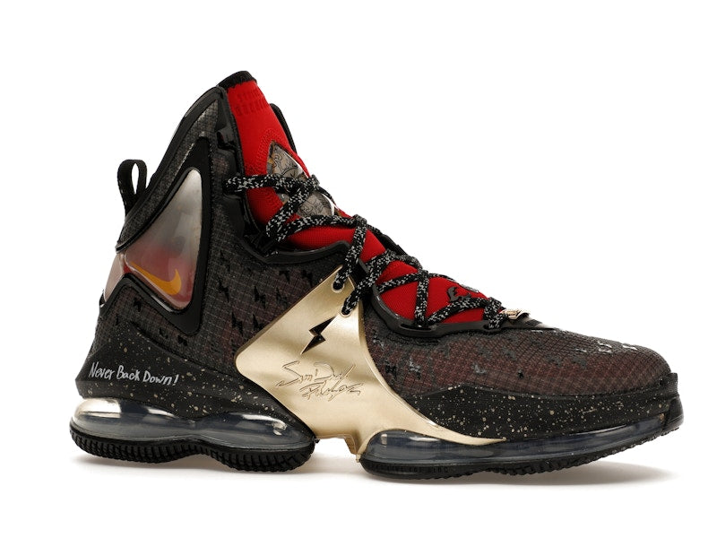 Nike LeBron 19 Doernbecher Sam David