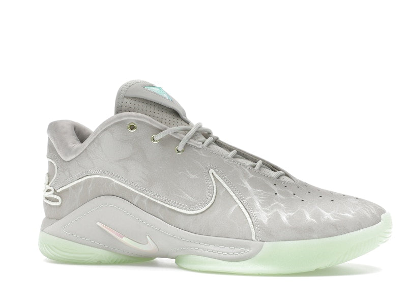 Nike LeBron 22 Dunkman (Translucent Outsole)