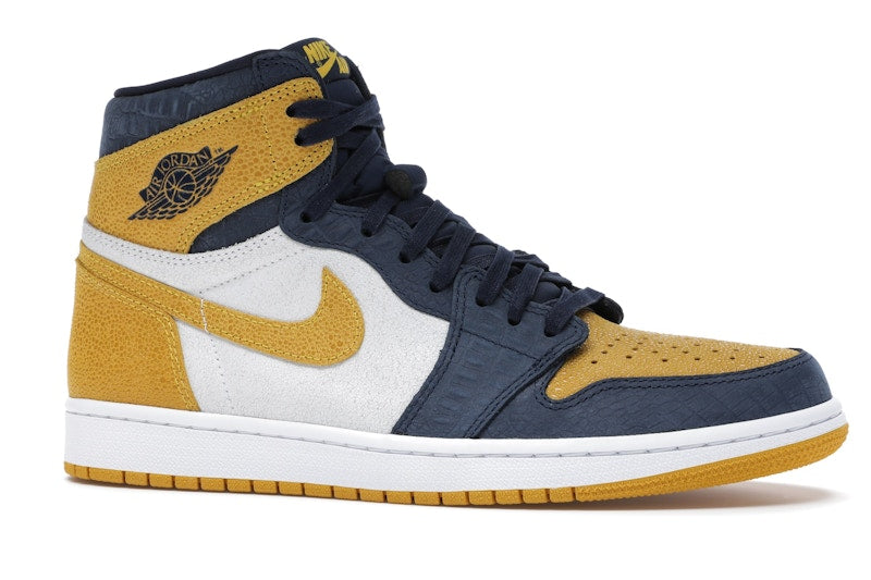 Jordan 1 Retro High Michigan PE
