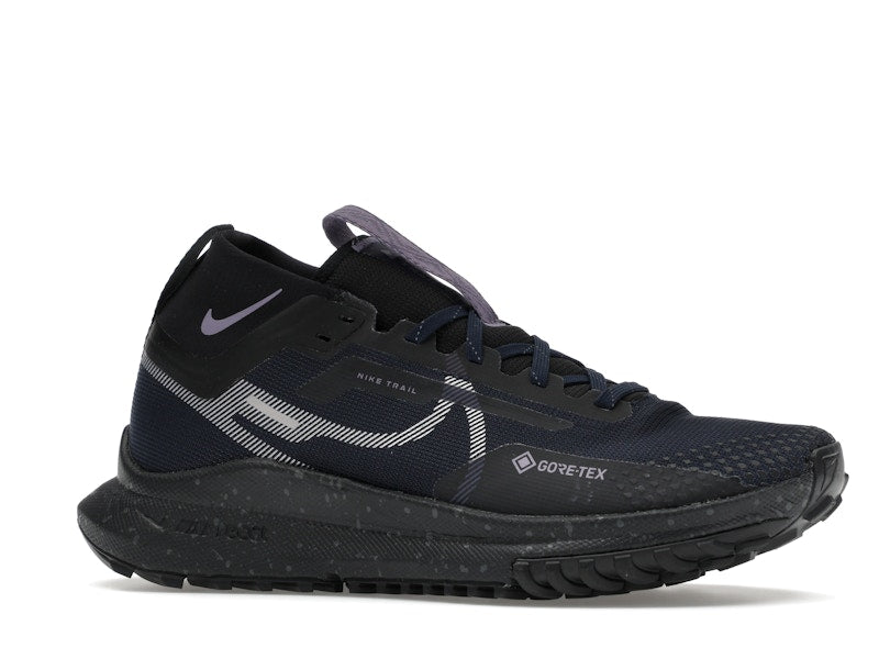 Nike Pegasus Trail 4 Gore-Tex Dark Obsidian Metallic Silver (Women's)