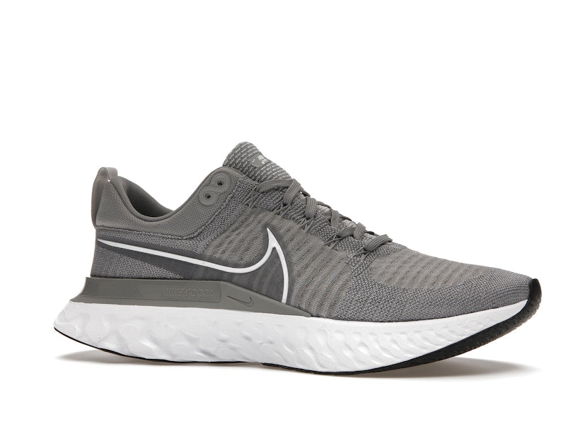 Nike React Infinity Run Flyknit 2 Particle Grey