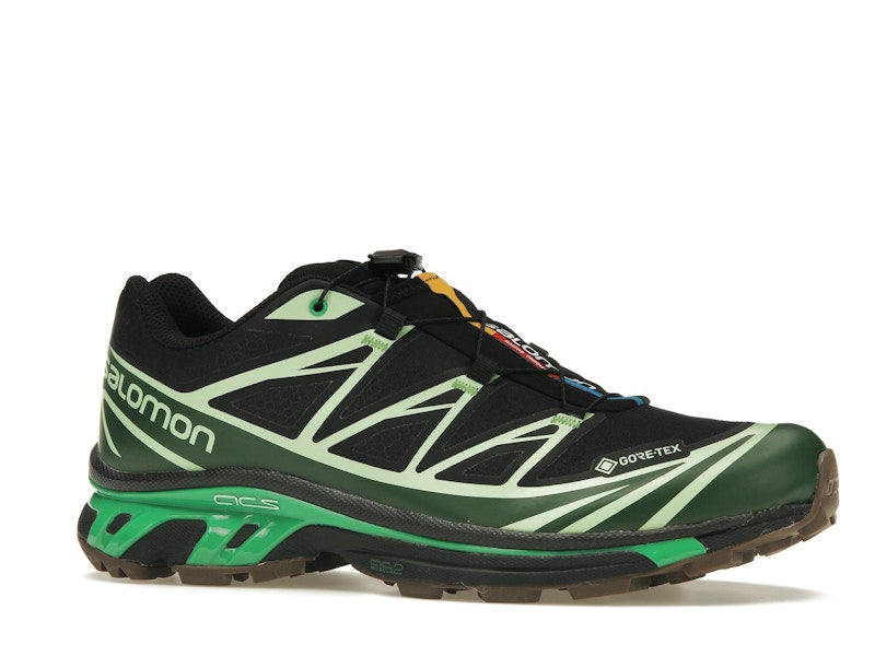 Salomon Advanced XT-6 Gore-Tex Eden Green Ash