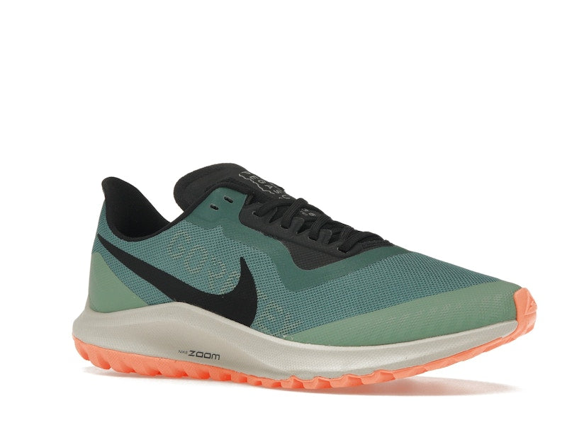 Nike Zoom Pegasus 36 Trail Gore-Tex Bicoastal (Women's)