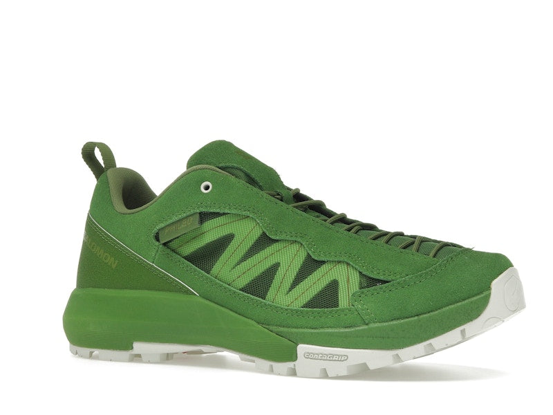 Salomon Alpinway SP2 Philéo Landowski Treetop