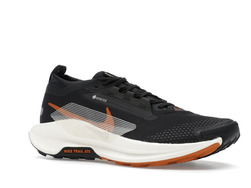 Nike Pegasus Trail 5 Gore-Tex Off Noir Black Monarch Pale Ivory
