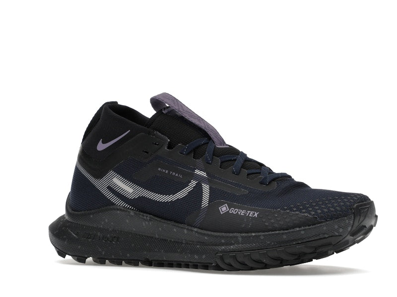 Nike Pegasus Trail 4 Gore-Tex Dark Obsidian Metallic Silver (Women's)