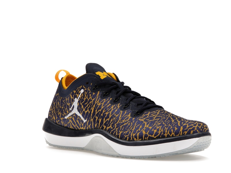 Jordan Trainer 1 Low Michigan