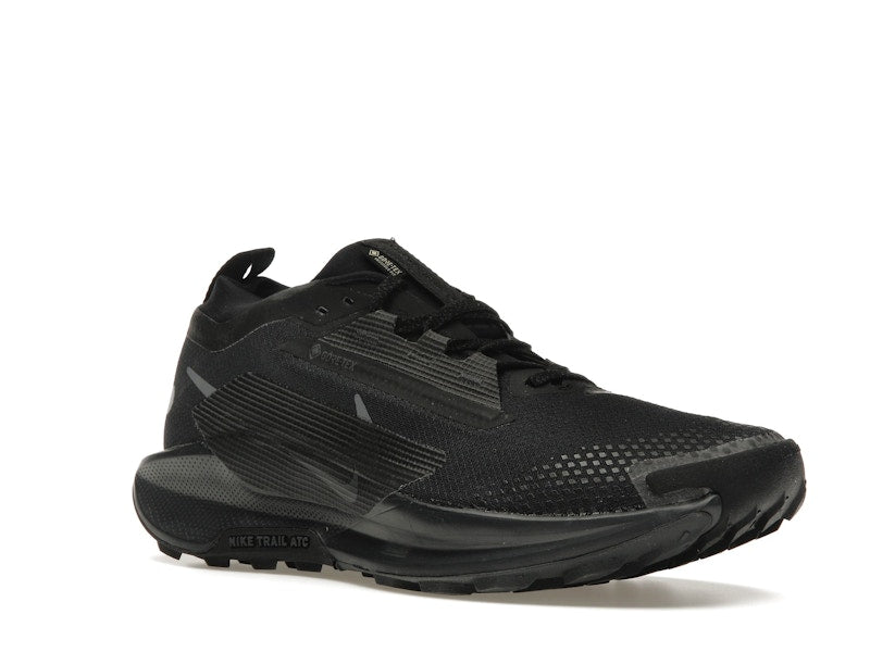 Nike React Pegasus Trail 5 Gore-Tex Black Anthracite