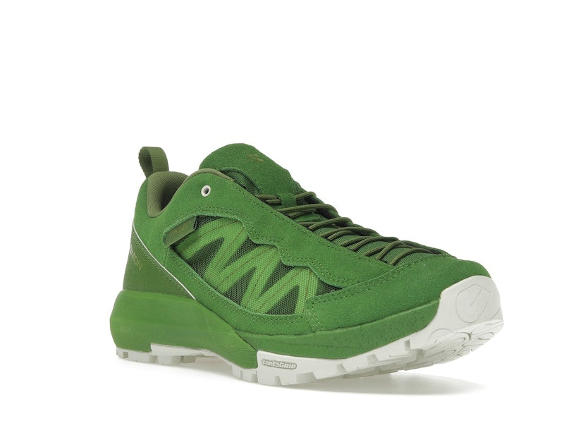 Salomon Alpinway SP2 Philéo Landowski Treetop