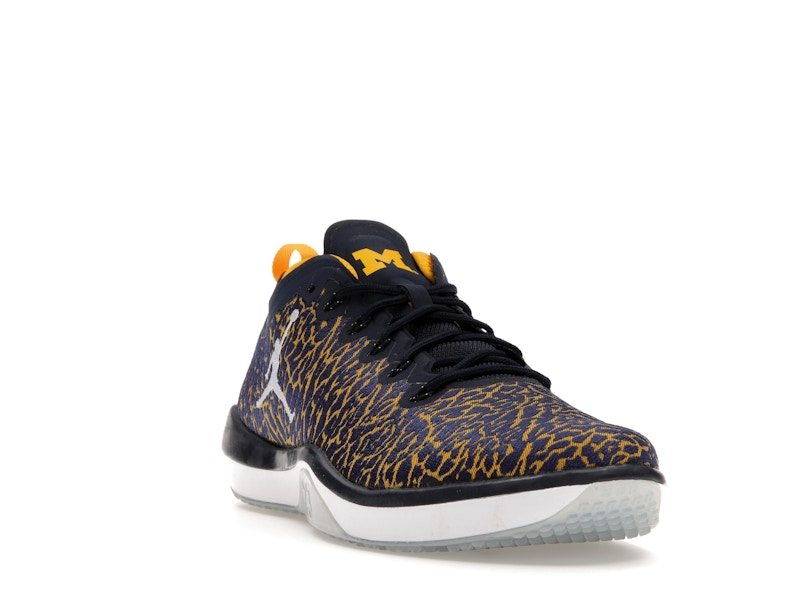 Jordan Trainer 1 Low Michigan