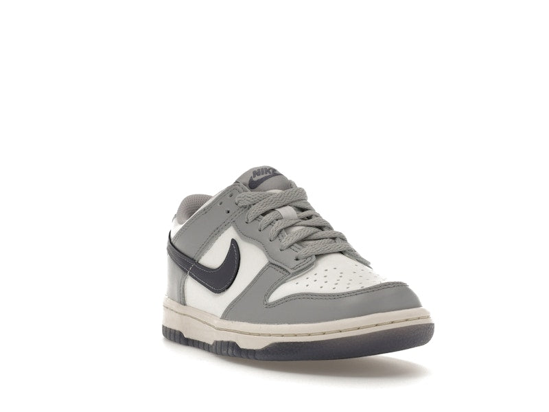 Nike Dunk Low Platinum Tint Light Carbon (GS)