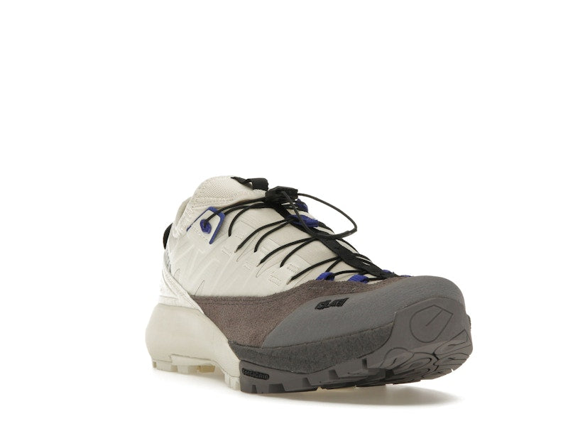 Salomon Alpinway Advanced Almond Milk Plum Kitten