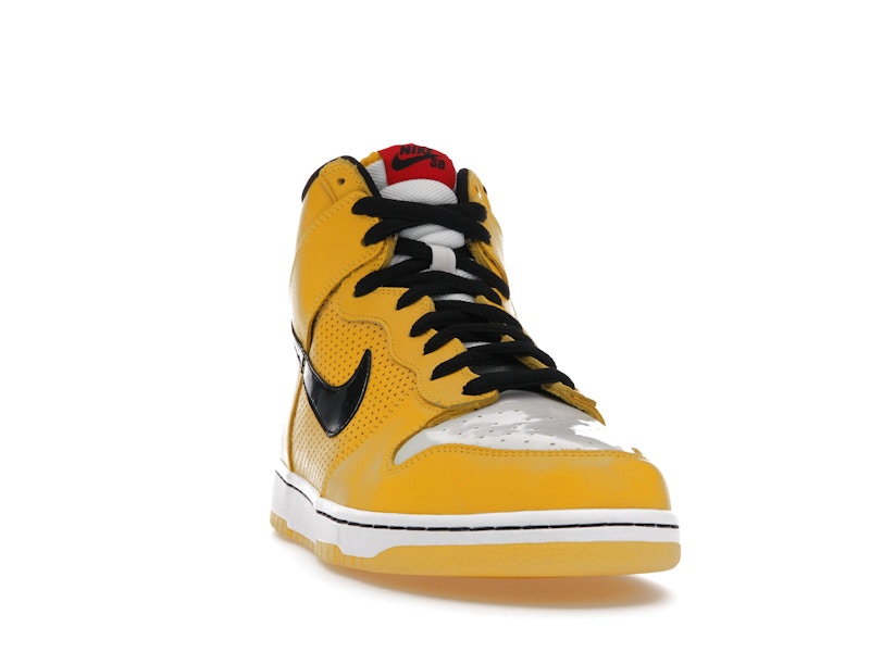 Nike SB Dunk High Wet Floor