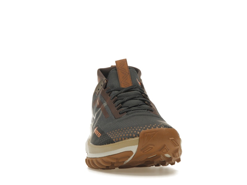 Nike Pegasus Trail 4 Gore-Tex Anthracite Ironstone