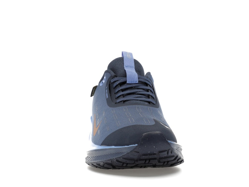 Nike React Infinity Run 4 Gore-Tex Thunder Blue Diffused Blue Royal Pulse Metallic Red Bronze (Women's)