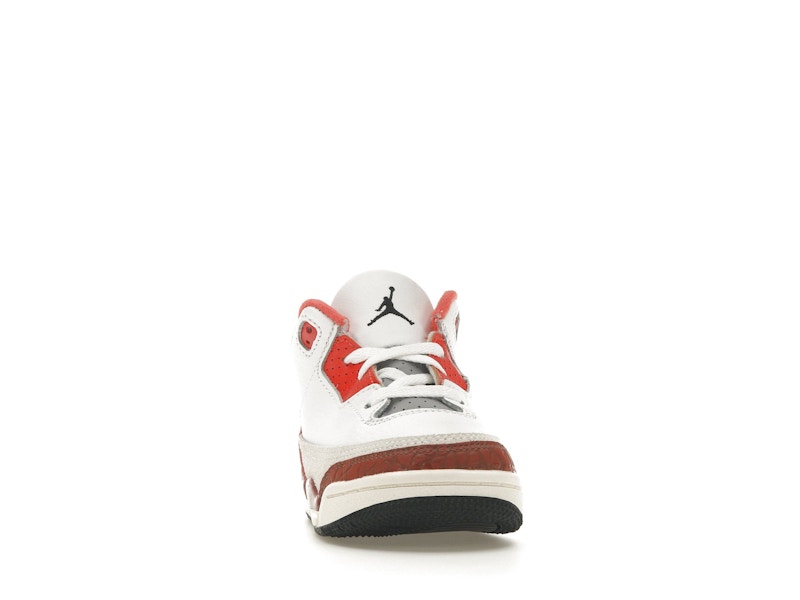 Jordan 3 Retro SE Dunk on Mars (TD)
