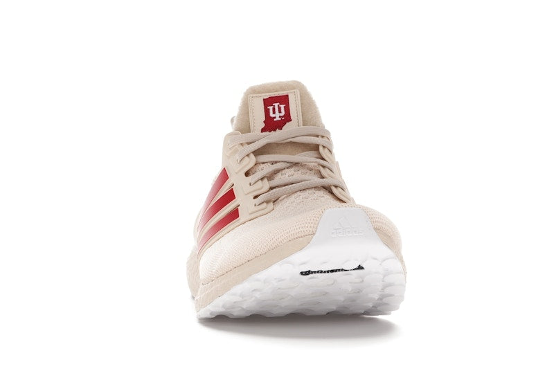 adidas Ultra Boost 1.0 Indiana