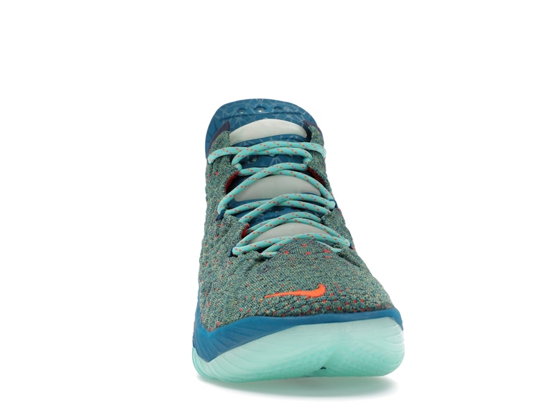 Nike LeBron 18 We Are Family