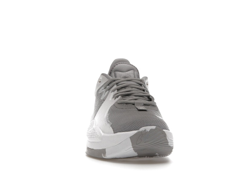 Nike PG 5 TB Wolf Grey