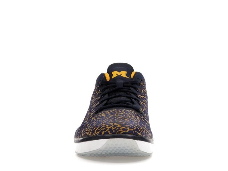 Jordan Trainer 1 Low Michigan