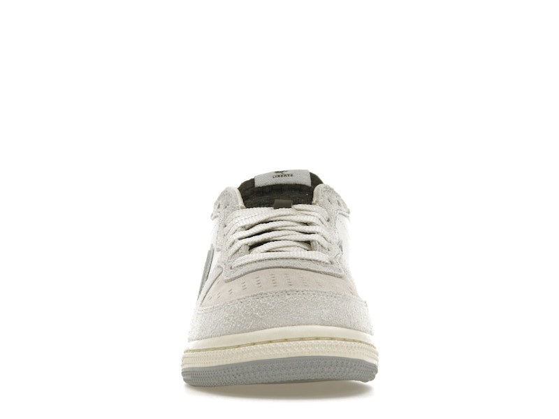 Nike Terminator Low Liberte