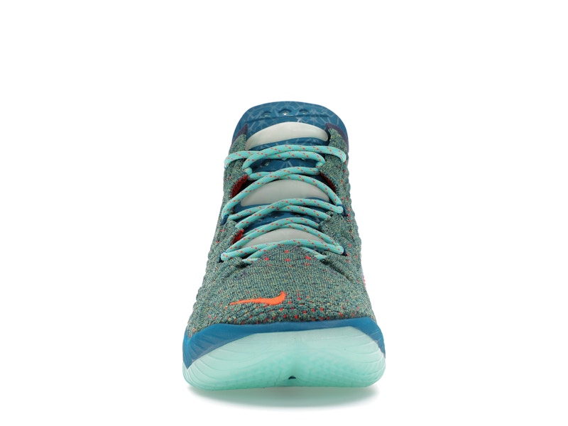Nike LeBron 18 We Are Family