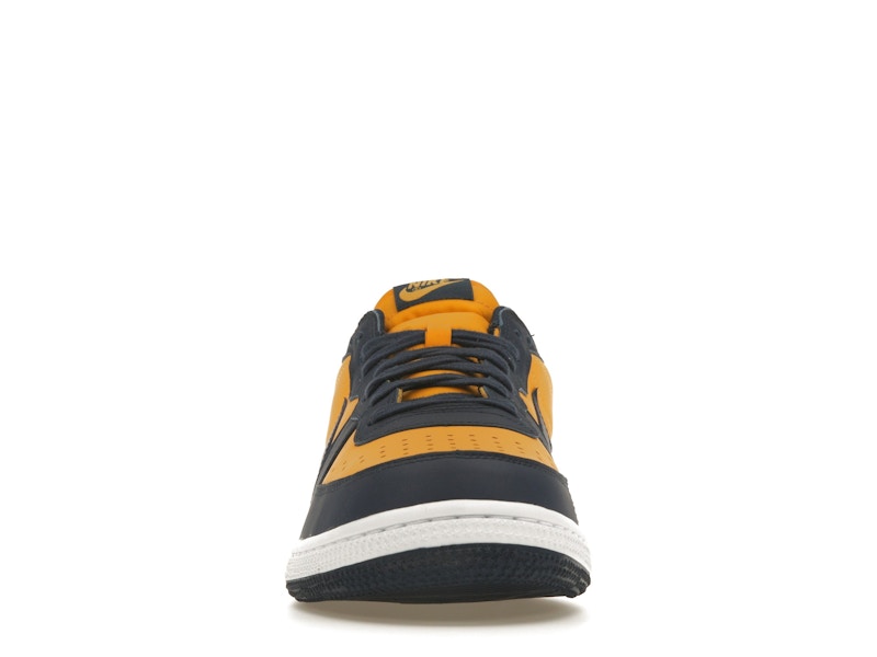 Nike Terminator Low Michigan