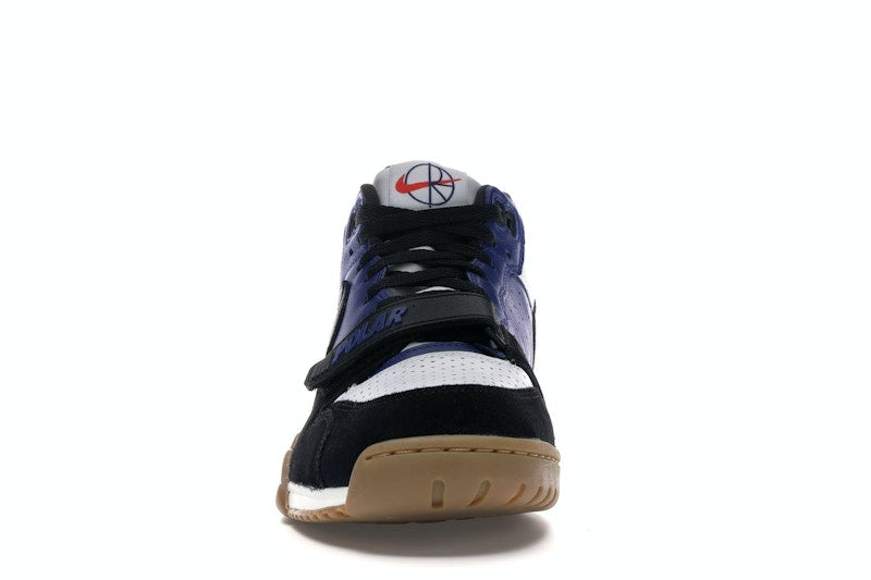 Nike SB Air Trainer 1 Polar Skate Co