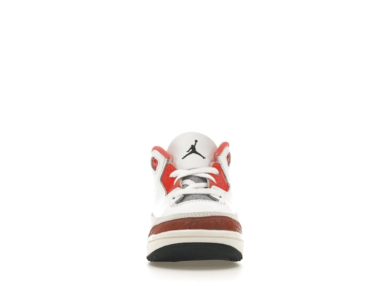 Jordan 3 Retro SE Dunk on Mars (TD)