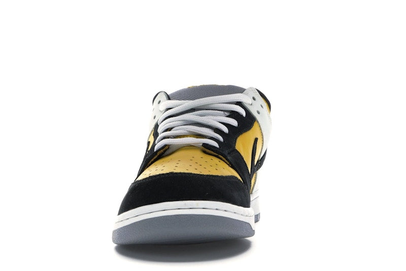 Nike SB Dunk Low Bic