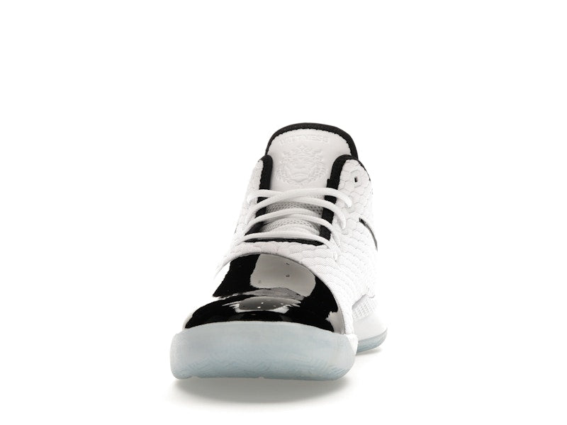 Nike LeBron Witness 3 PRM Concord