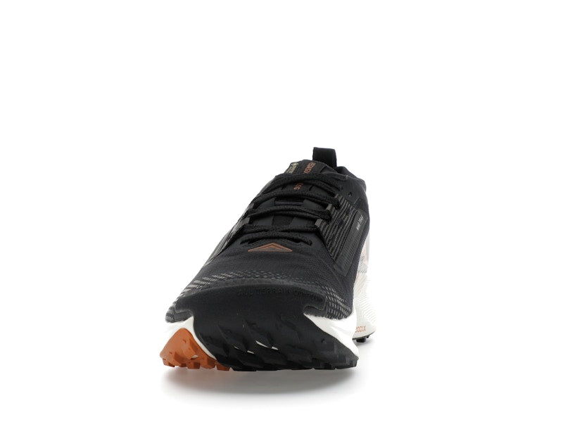 Nike Pegasus Trail 5 Gore-Tex Off Noir Black Monarch Pale Ivory
