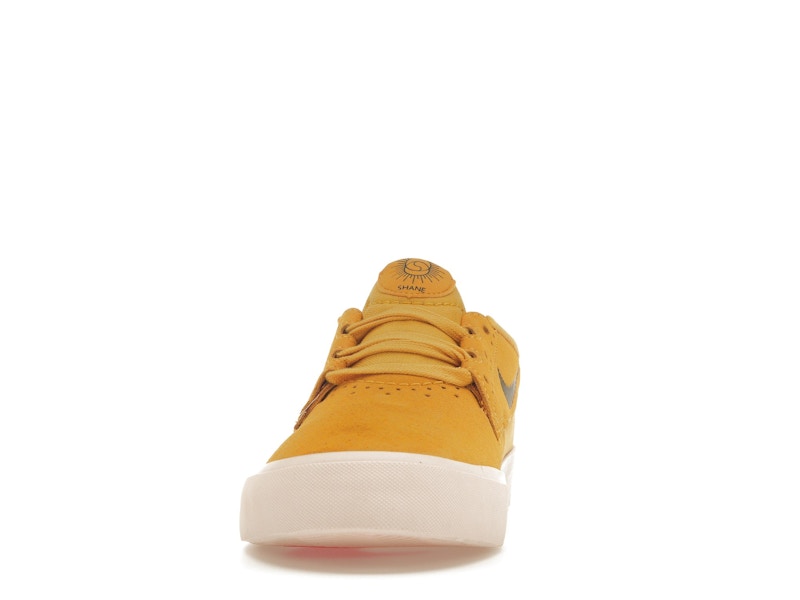 Nike SB Shane T Pollen