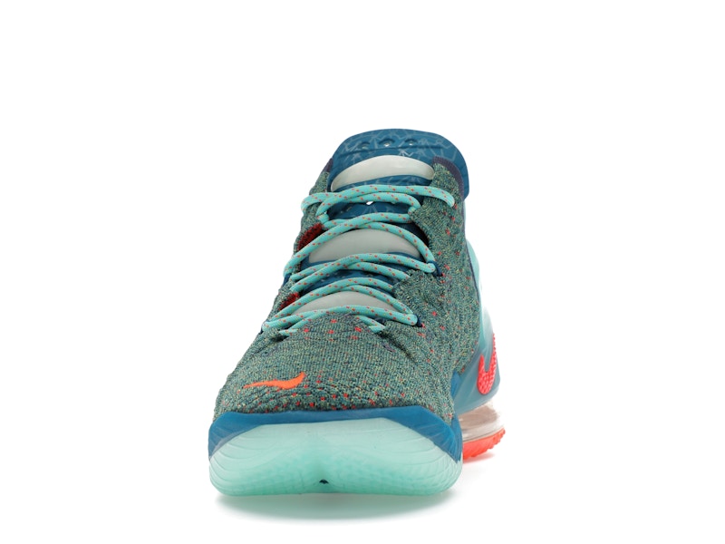 Nike LeBron 18 We Are Family
