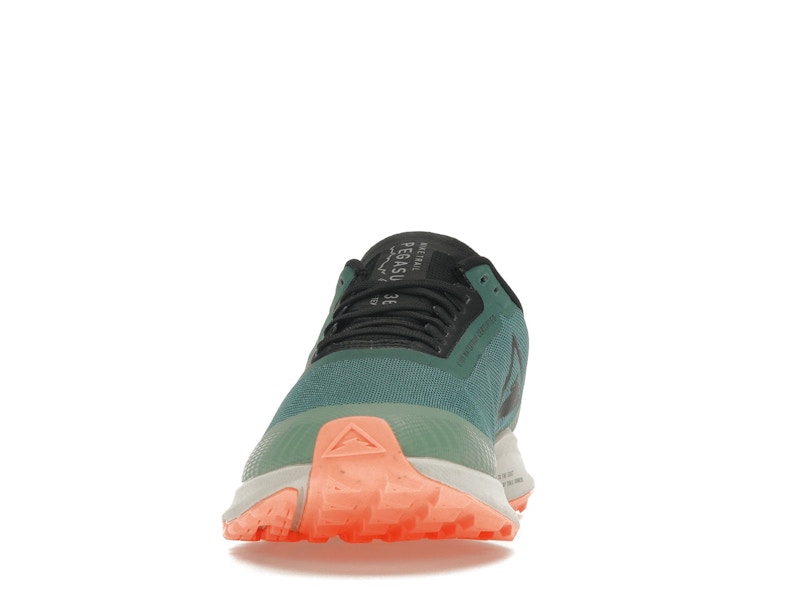 Nike Zoom Pegasus 36 Trail Gore-Tex Bicoastal (Women's)