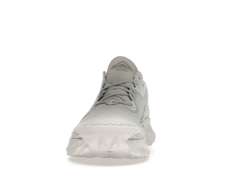 Nike Pegasus Trail 2 Gore-Tex Pure Platinum