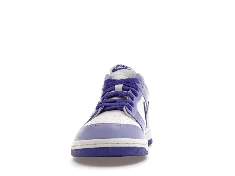 Nike Dunk Low Blueberry (GS)