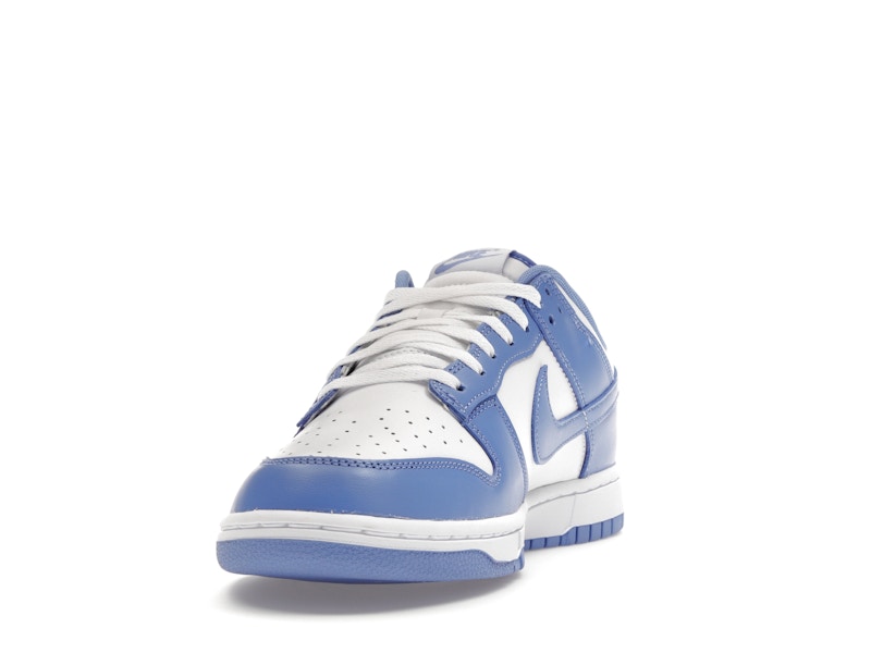 Nike Dunk Low Polar Blue