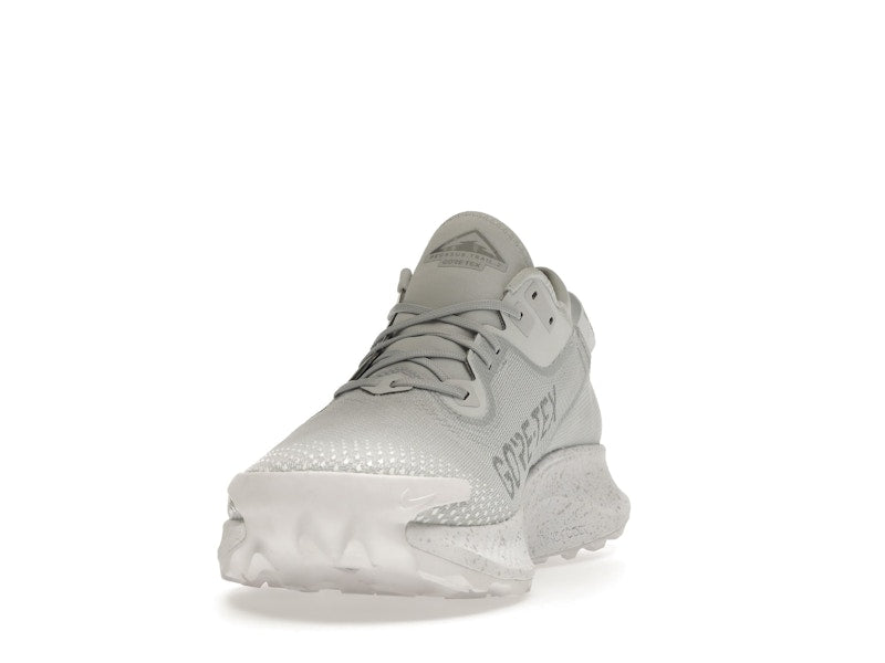 Nike Pegasus Trail 2 Gore-Tex Pure Platinum